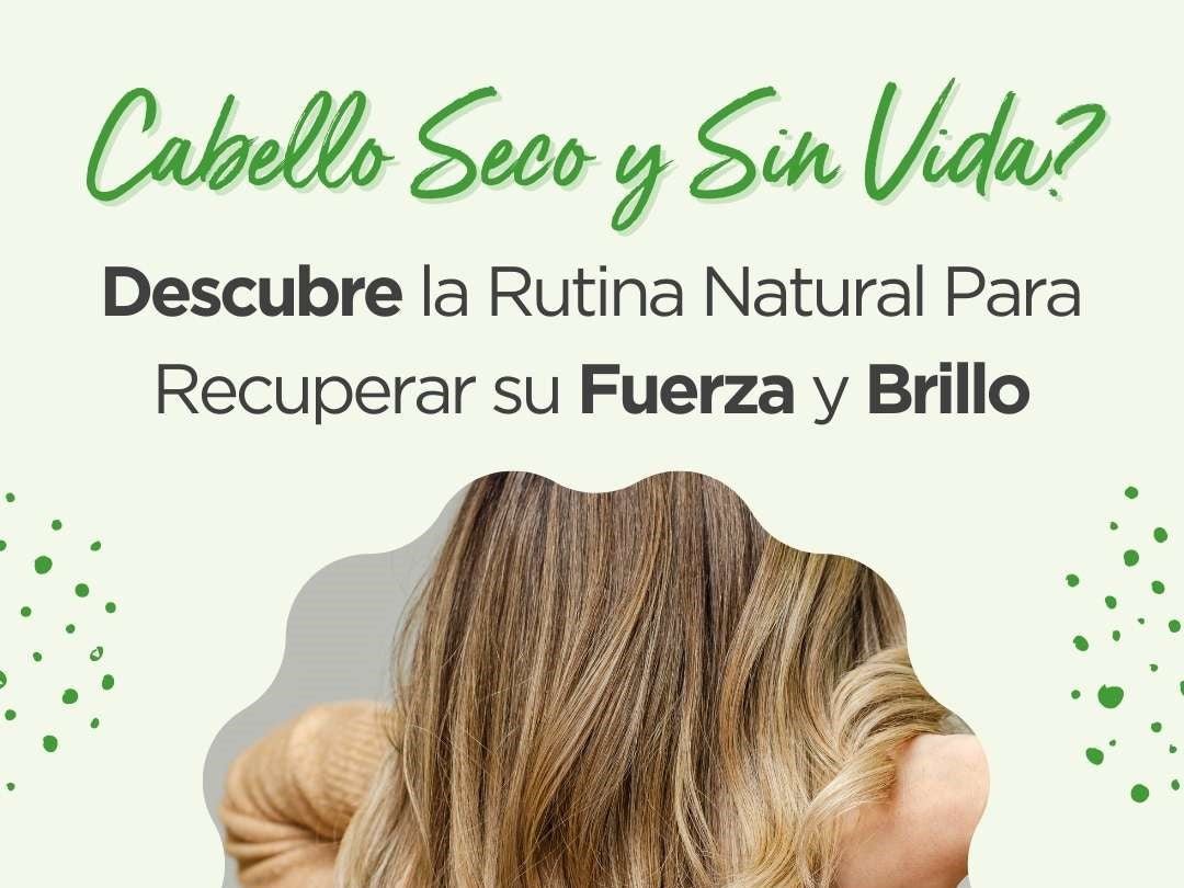 Cabello Seco y Sin Vida: Rutina Natural Para Recuperar su Fuerza y Brillo - drorganic.es