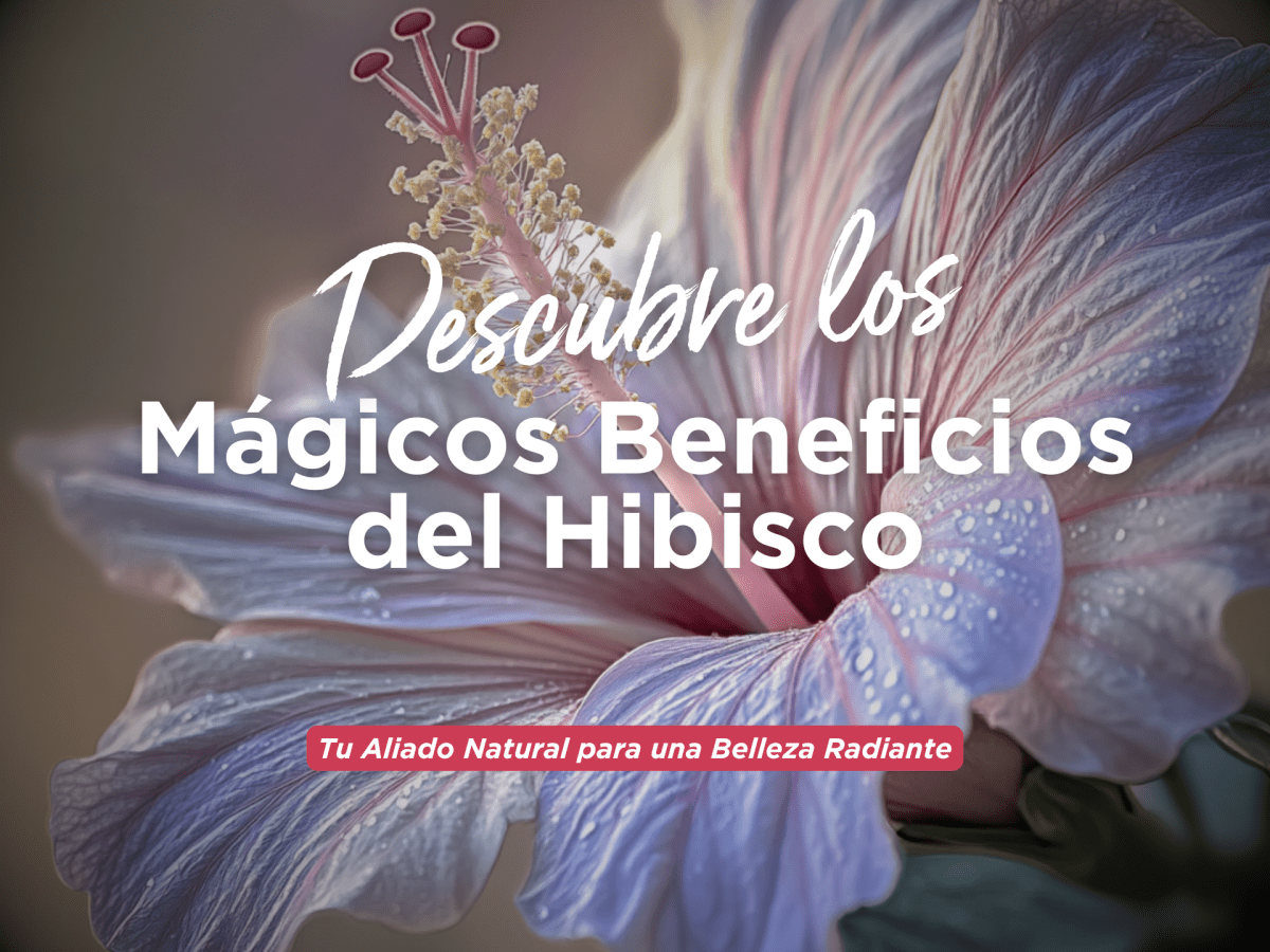 Descubre los Mágicos Beneficios del Hibisco: Tu Aliado Natural para una Belleza Radiante - drorganic.es