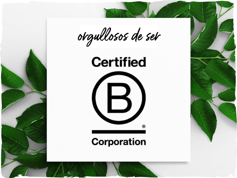 ¡Lo hemos logrado! Dr. Organic ya es B Corp y esto es solo el principio - drorganic.es