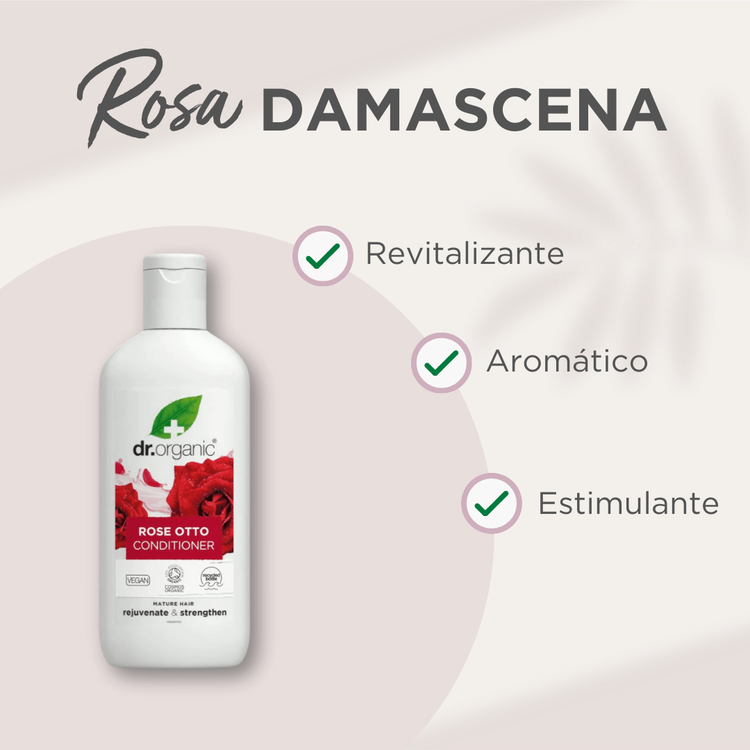 Acondicionador de Rosa Damascena cabello maduro 265ml - drorganic.es