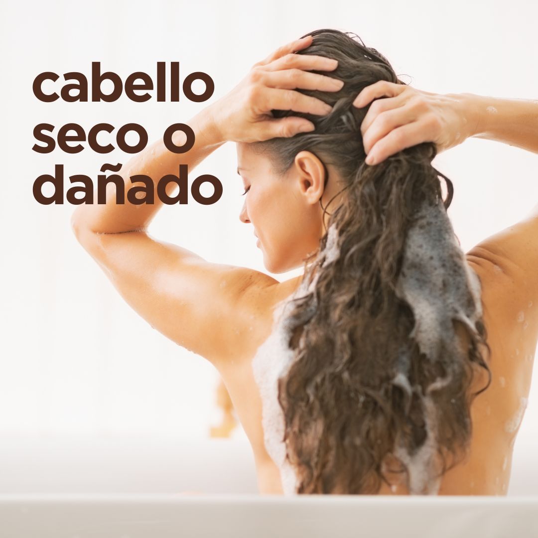 Champú Aceite de Argán Marroquí para cabello seco o dañado 265ml - drorganic.es
