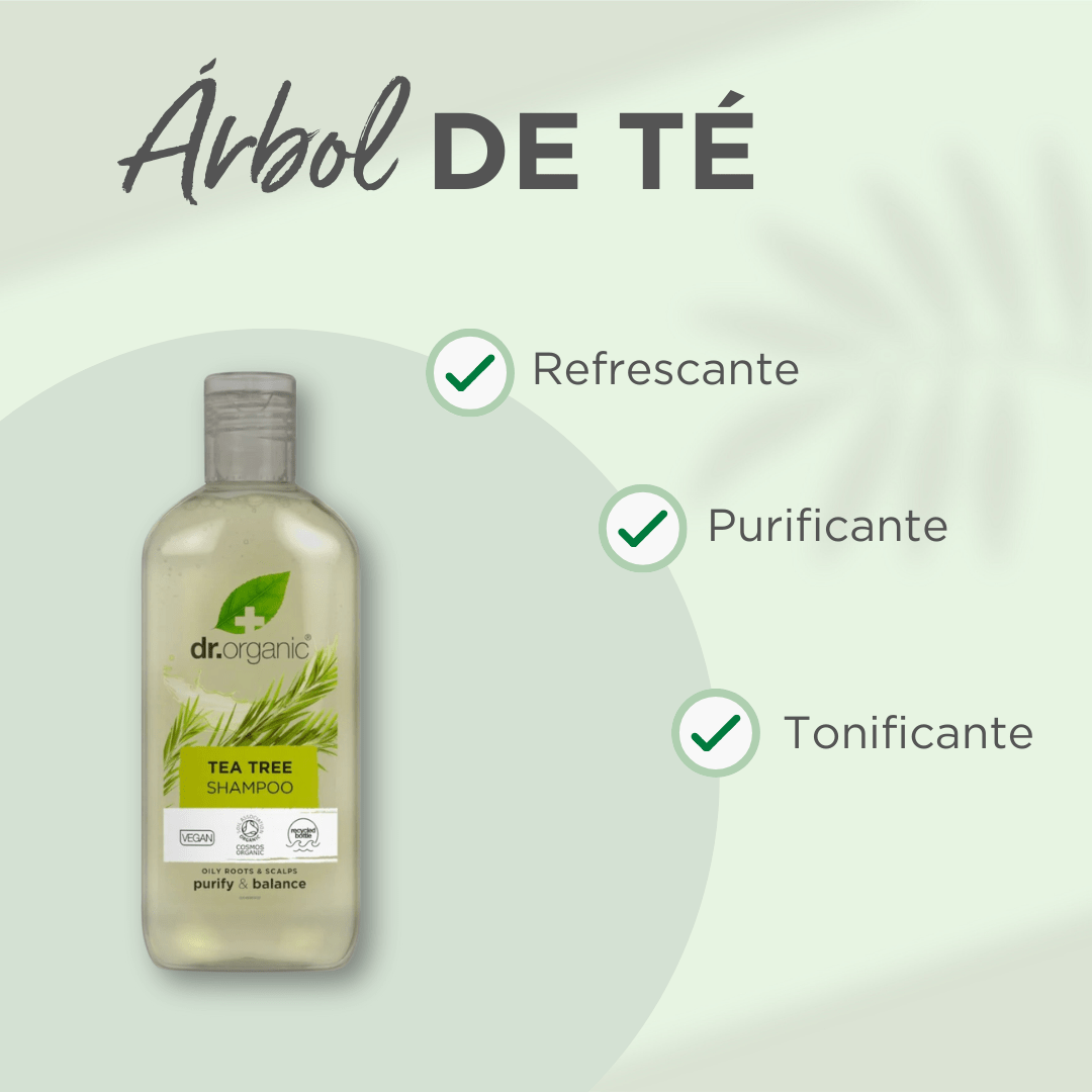 Champú Árbol de Té para cabello graso o con problemas 265ml - drorganic.es