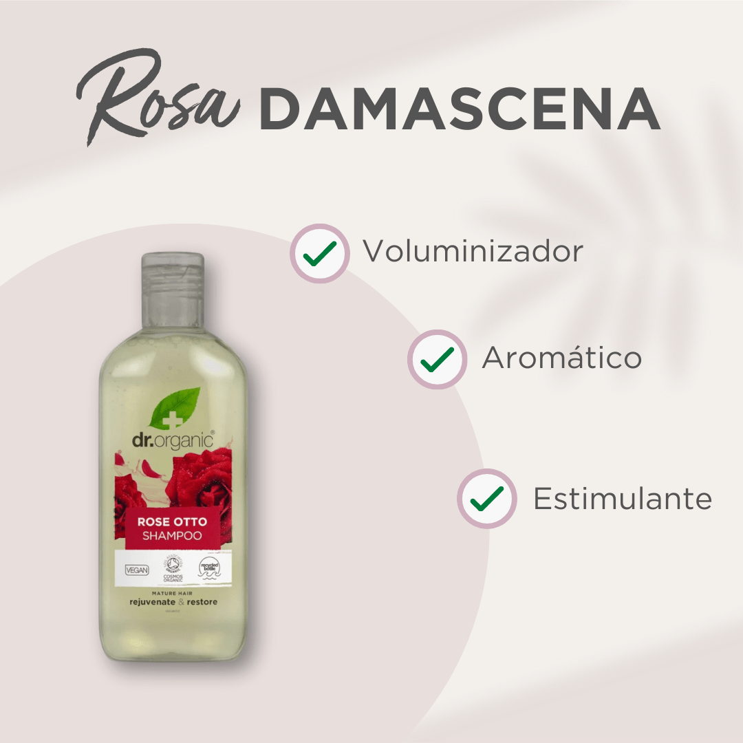 Champú Rosa Damascena para cabello seco y sin volumen 265ml - drorganic.es