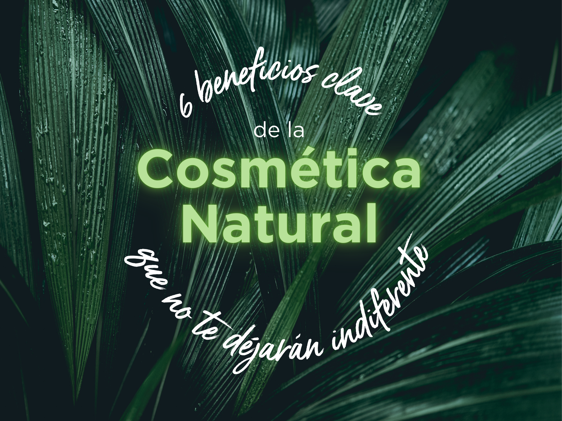 6 Beneficios Clave de la Cosmética Natural que no te dejarán indiferente