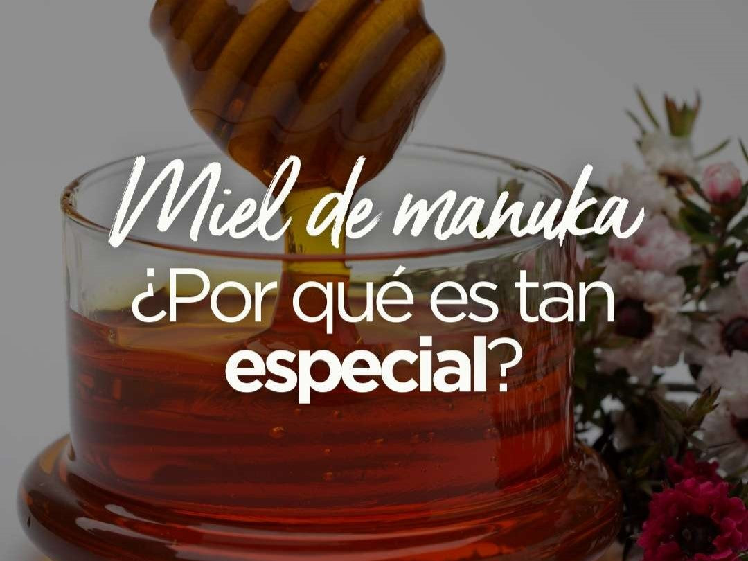 ¿Sabías que la miel de manuka tiene propiedades antibacterianas únicas?