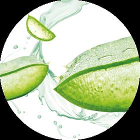 Aloe Vera - drorganic.es