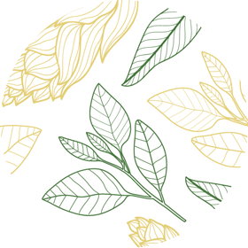 EVOKE - drorganic.es