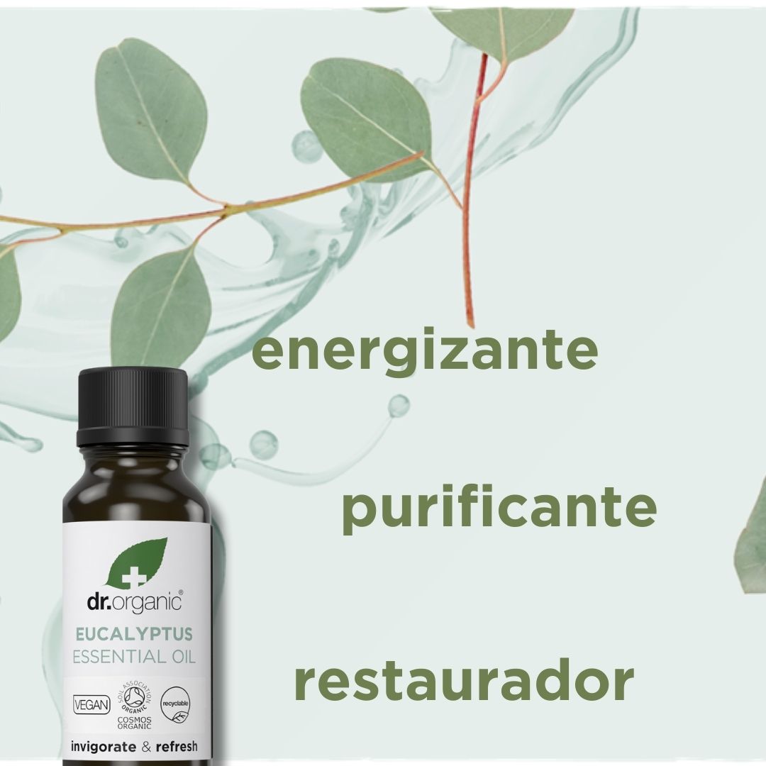 Aceite de Eucaliptus 100% puro 10ml