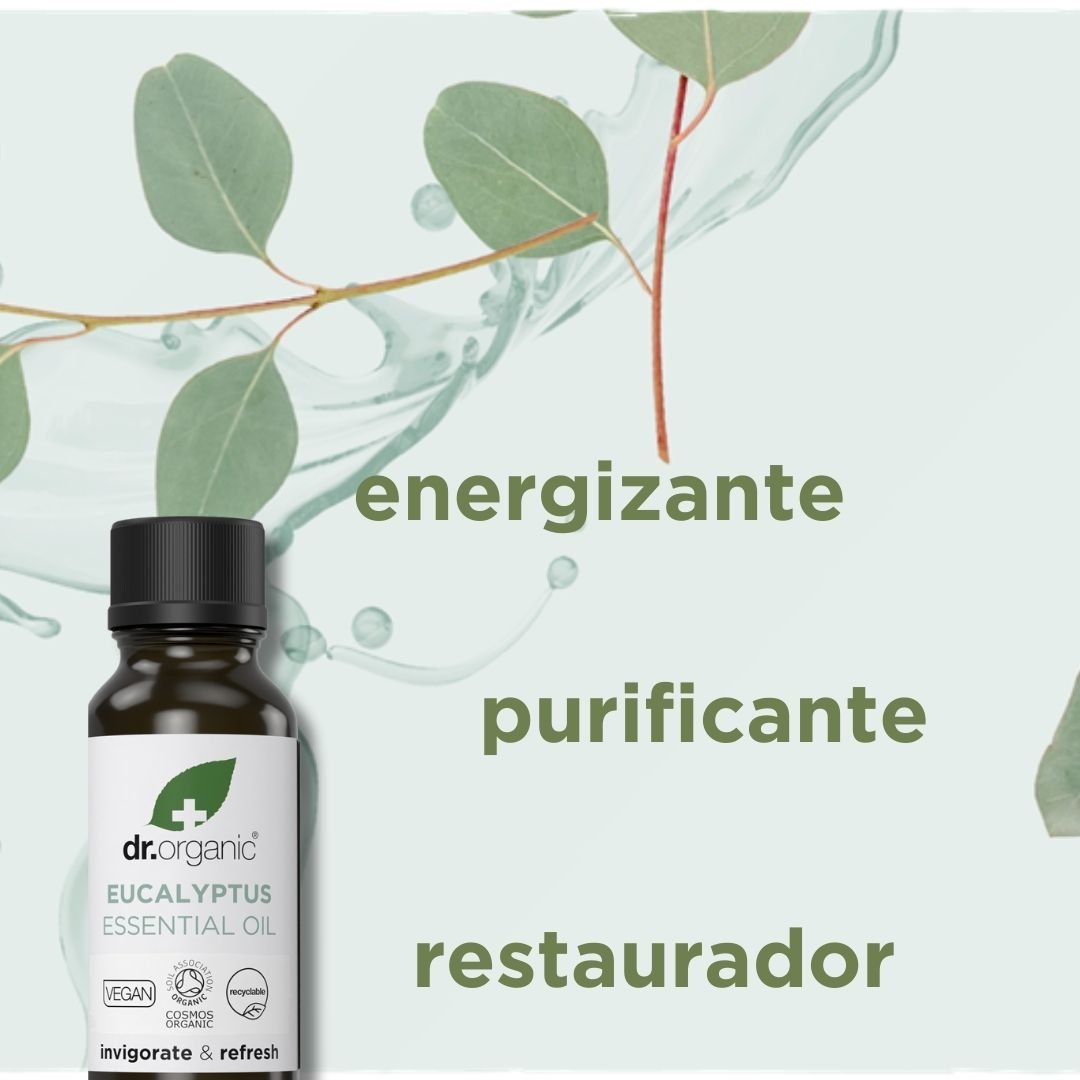Aceite de Eucaliptus 100% puro 10ml - drorganic.es