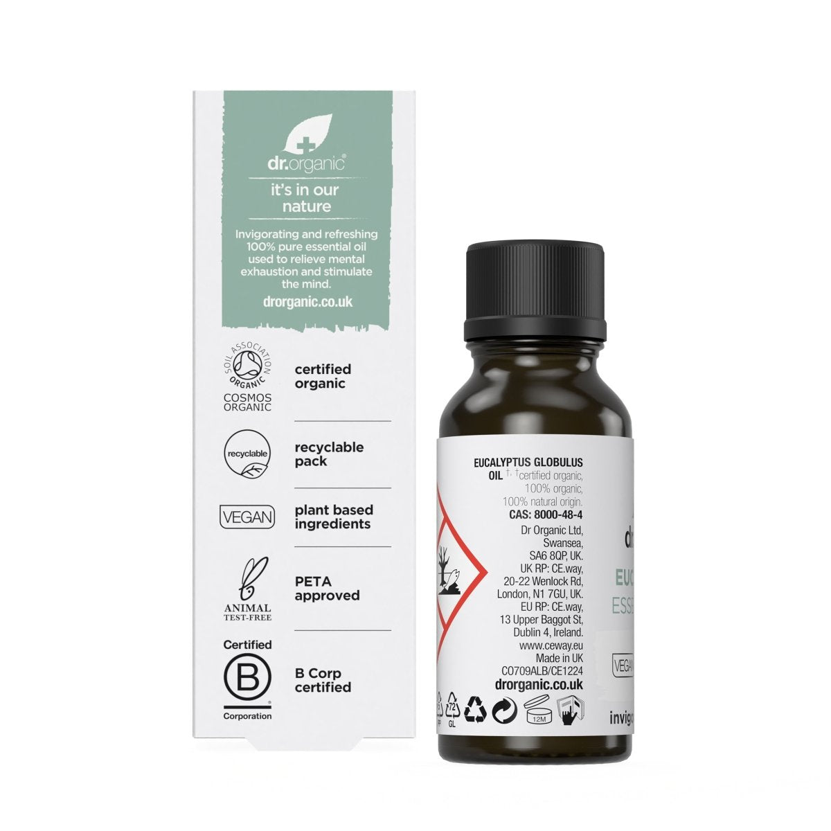 Aceite de Eucaliptus 100% puro 10ml - drorganic.es