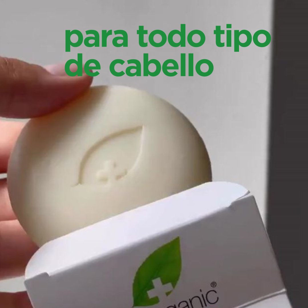 Champú & Acondicionador sólido Aloe Vera y Karité para todo tipo de cabello 75 gr - drorganic.es