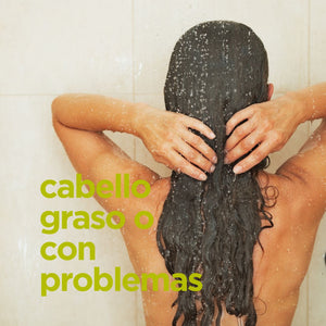 Champú de Árbol de Té para cabello graso o con problemas 265ml - drorganic.es