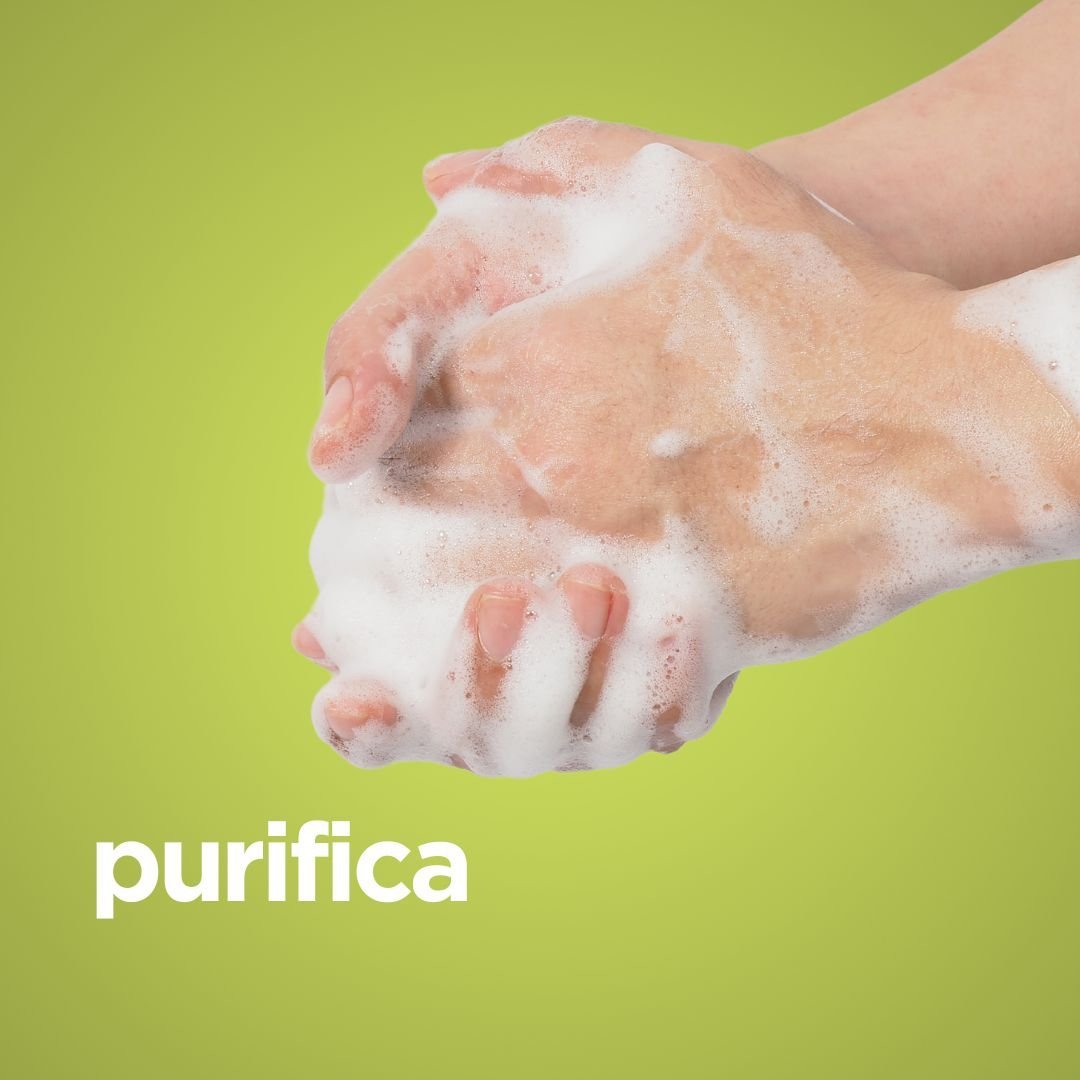 Jabón de manos purificante Árbol de Té 250ml - drorganic.es