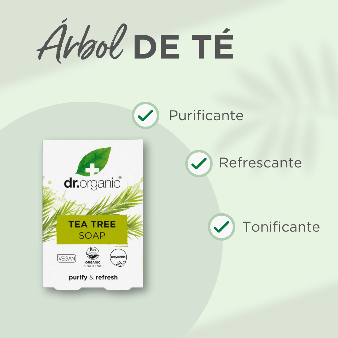 Pastilla de jabón de Árbol de Té para piel grasa o con problemas 100 gr - drorganic.es