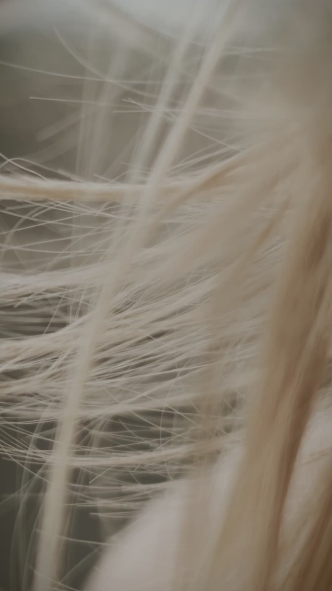 Cargar vídeo: Sérum tratamiento capilar Aceite de Argán Marroquí para cabello seco o dañado 100ml