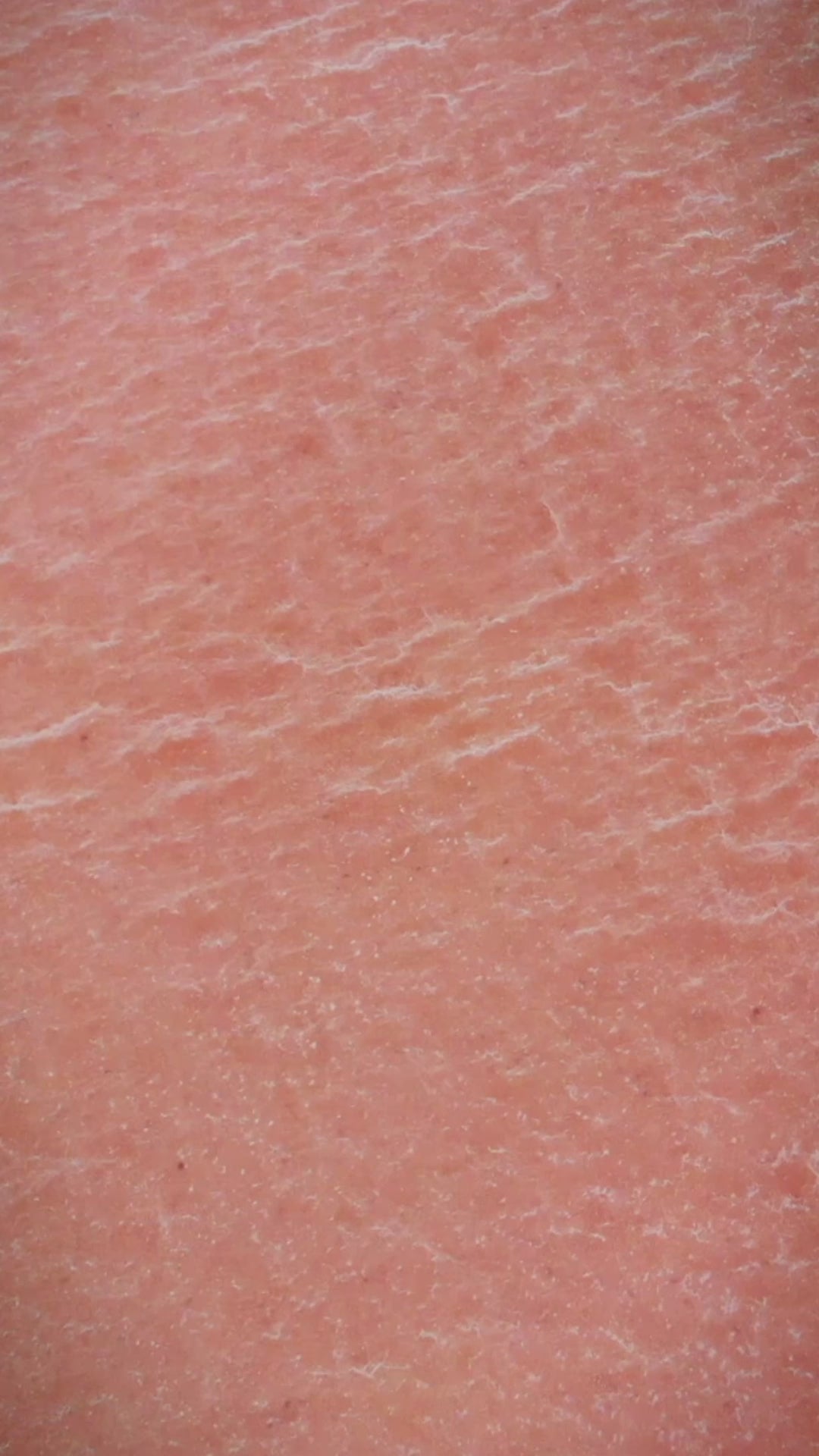 Cargar vídeo: Crema de Manos y Uñas Miel de Manuka 125ml