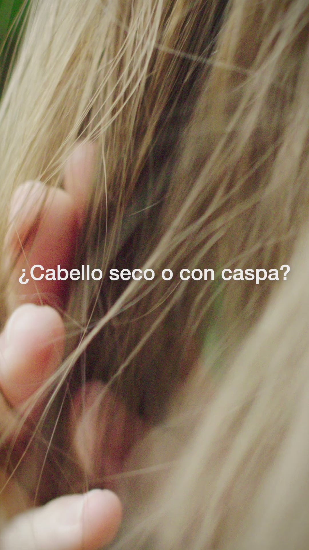 Cargar vídeo: Champú de Miel de Manuka para cabello normal o seco 265ml