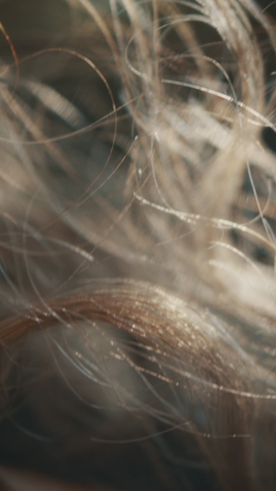 Cargar vídeo: Acondicionador de Vitamina E para cabello fino 265ml